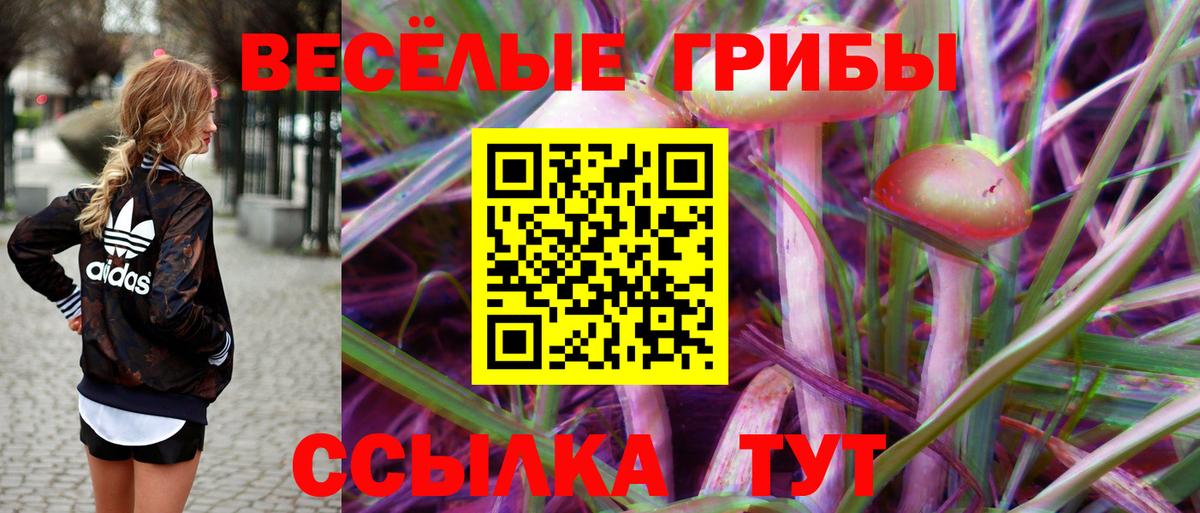 Псилоцибиновые грибы мицелий Балтийск