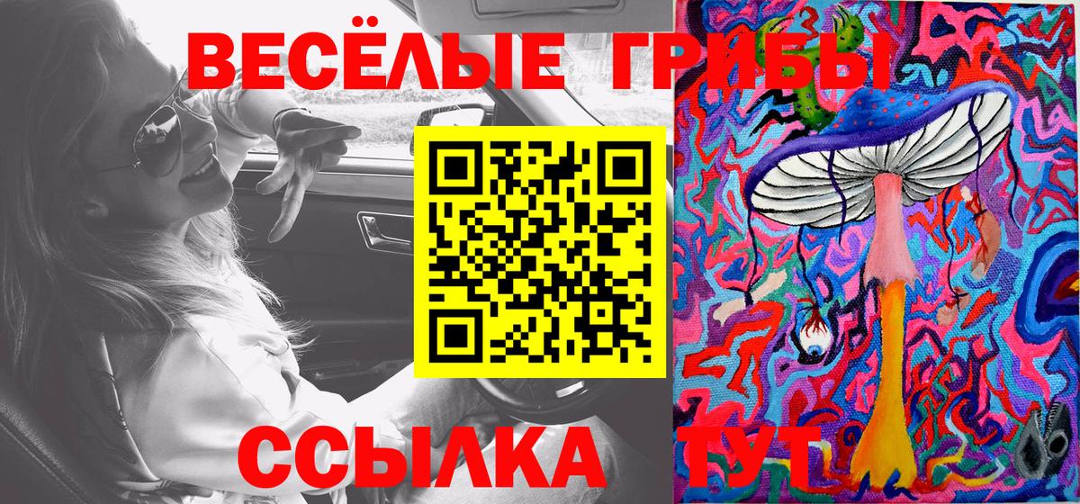 хочу   Галлюциногенные грибы Magic Shrooms  Вход с VPN  Балтийск 